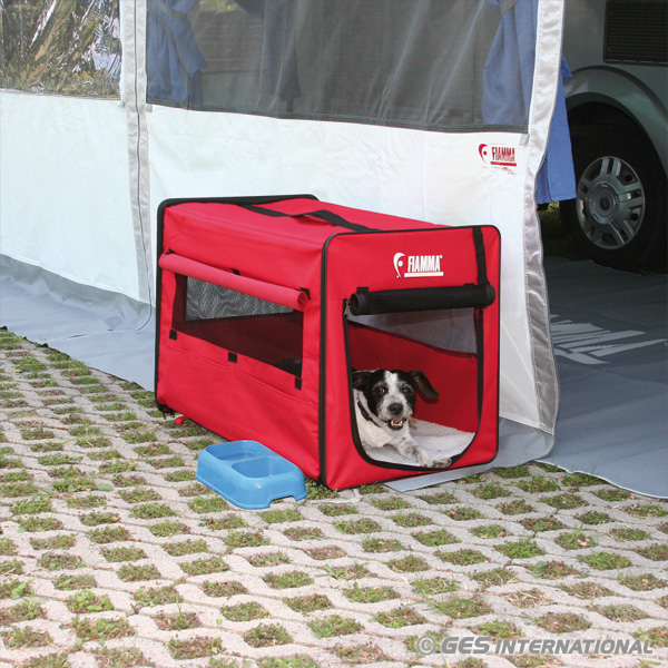 Animali in Camper